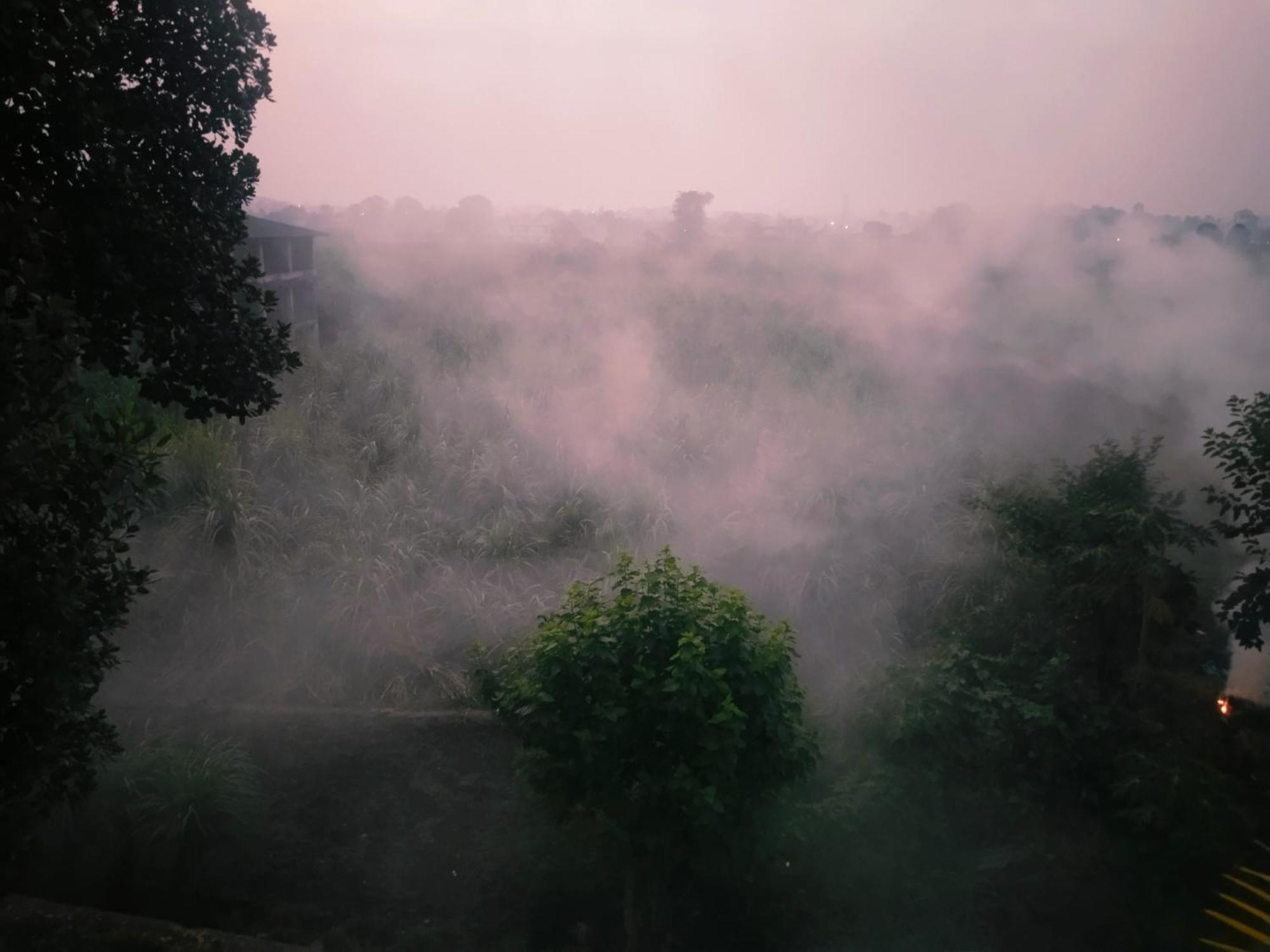 Airport Luxury Nature Homestay- Near Jolly Grant Airport Dehradun Doiwāla Zewnętrze zdjęcie