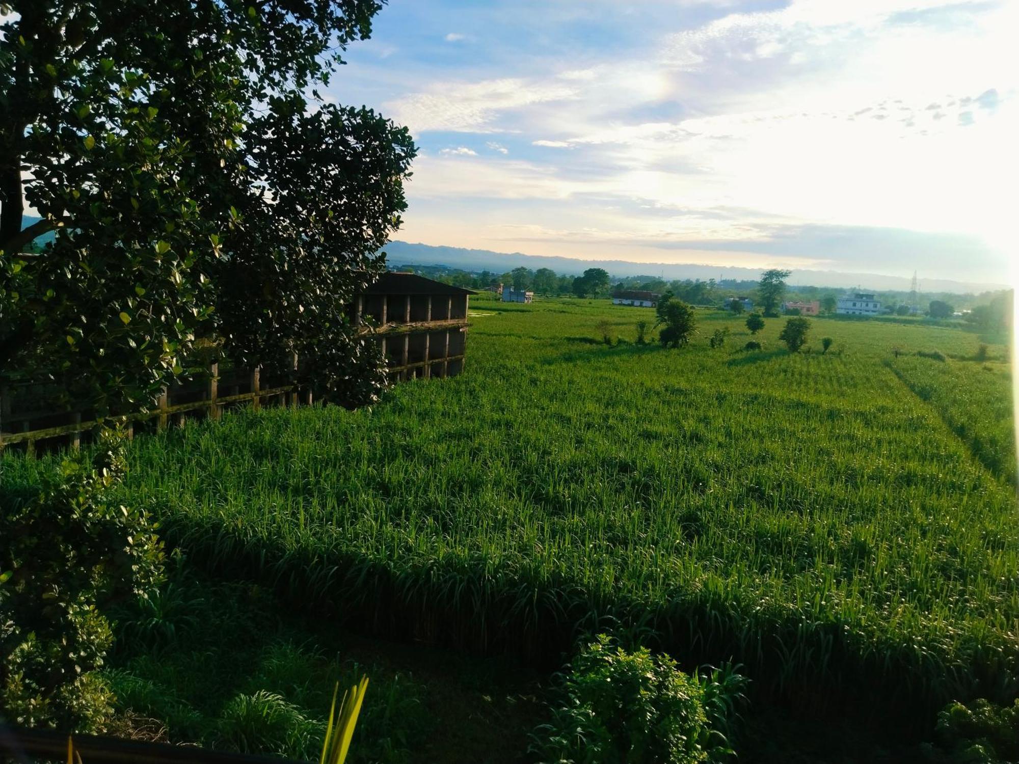 Airport Luxury Nature Homestay- Near Jolly Grant Airport Dehradun Doiwāla Zewnętrze zdjęcie