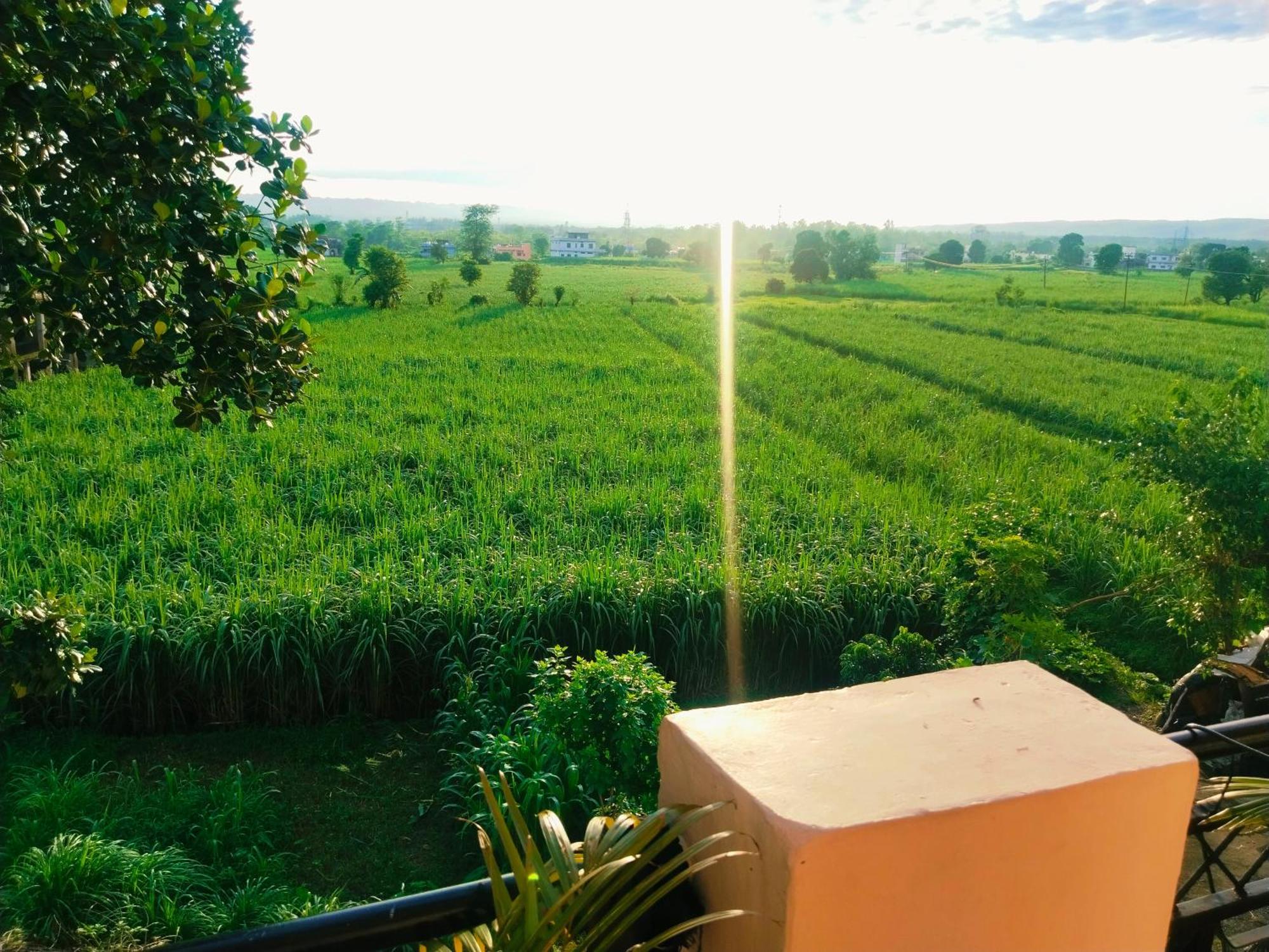 Airport Luxury Nature Homestay- Near Jolly Grant Airport Dehradun Doiwāla Zewnętrze zdjęcie