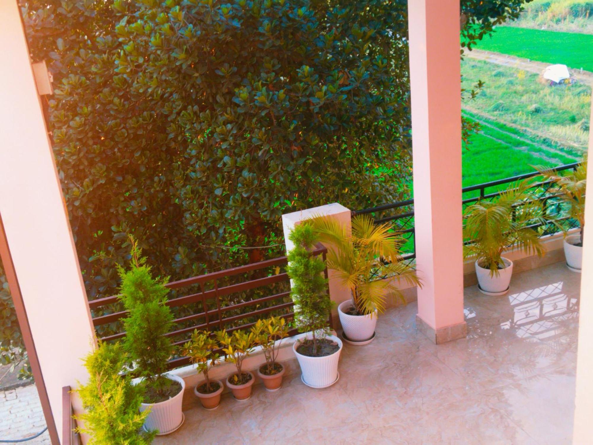 Airport Luxury Nature Homestay- Near Jolly Grant Airport Dehradun Doiwāla Zewnętrze zdjęcie
