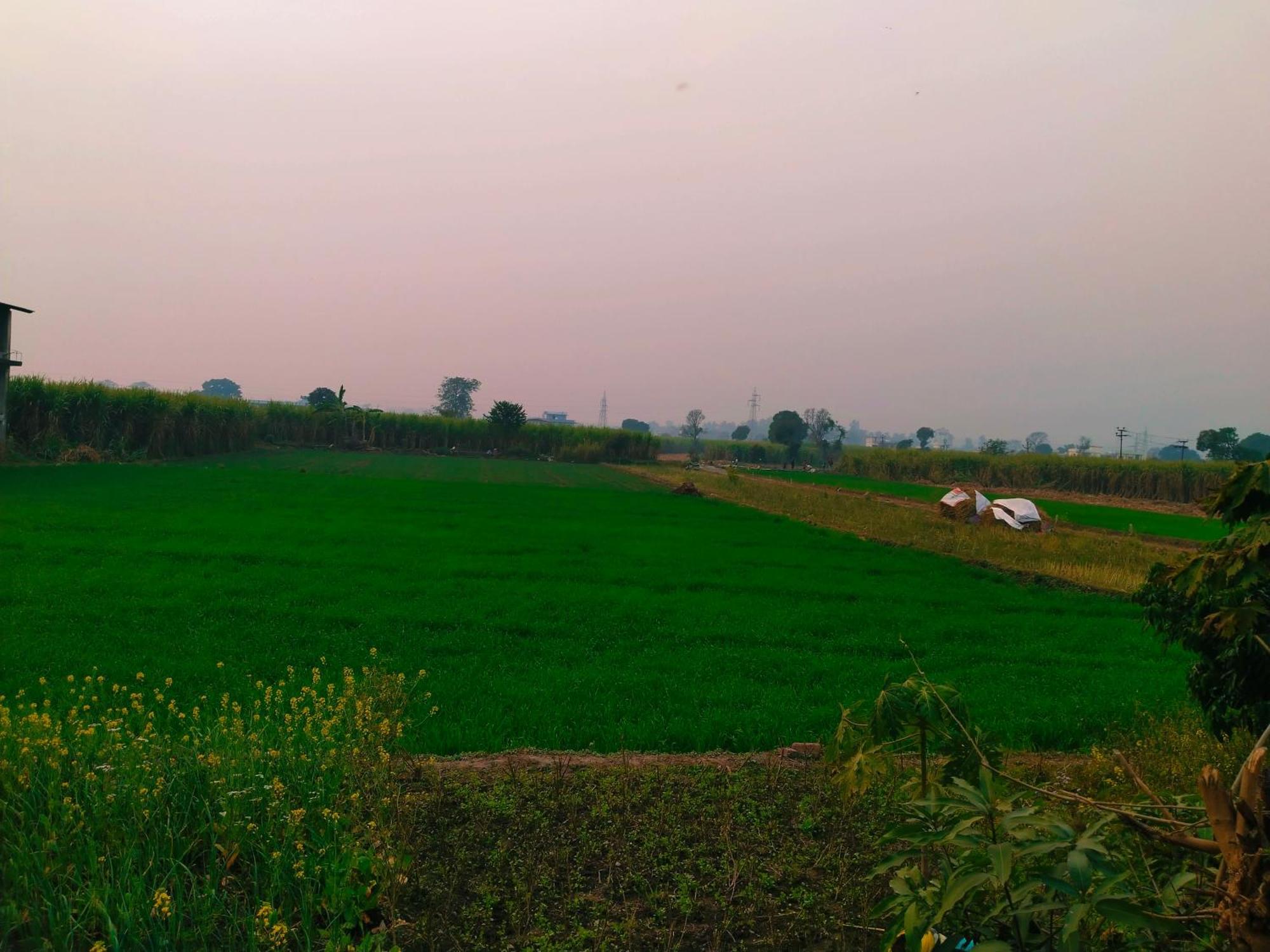 Airport Luxury Nature Homestay- Near Jolly Grant Airport Dehradun Doiwāla Zewnętrze zdjęcie
