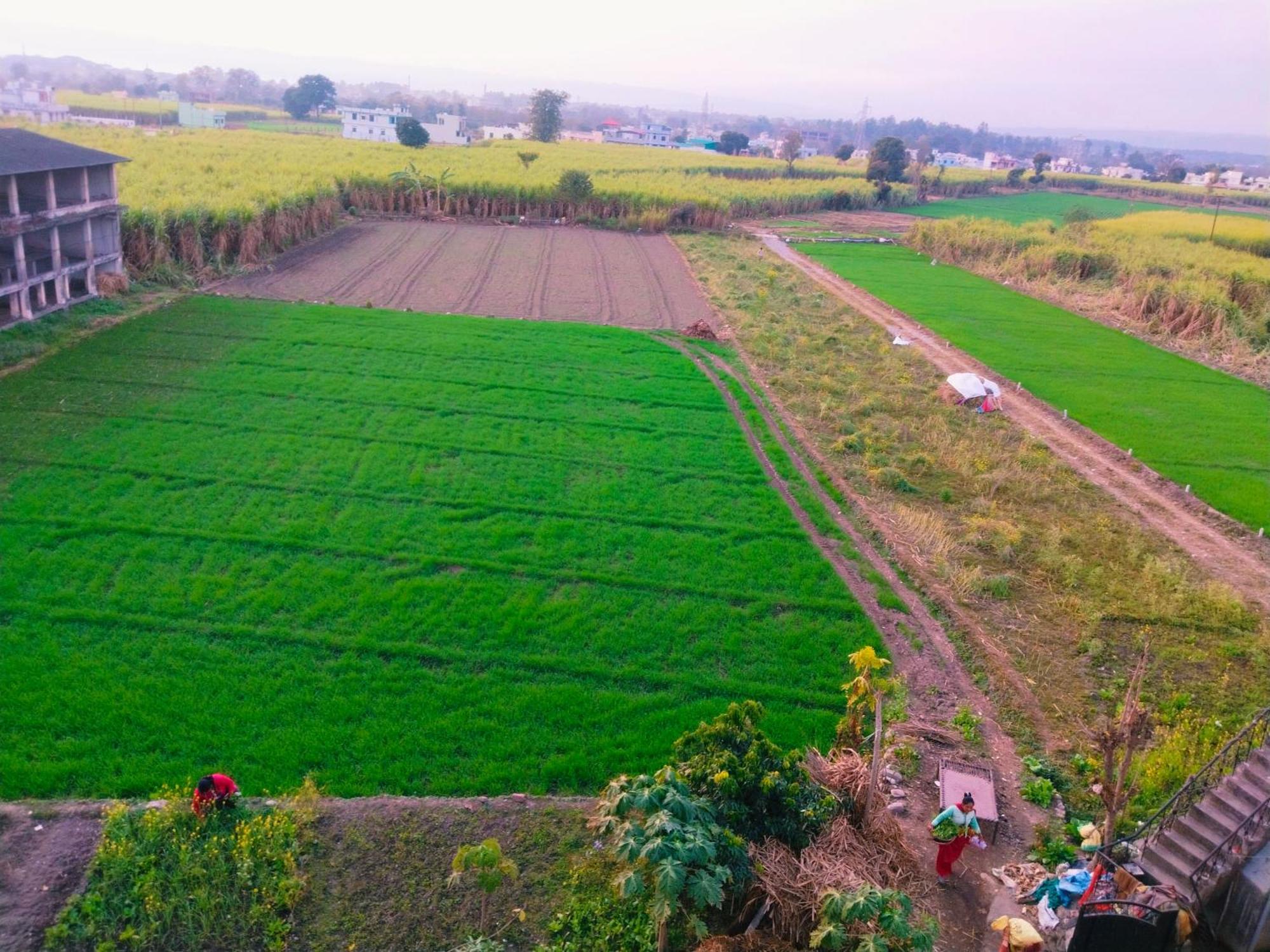 Airport Luxury Nature Homestay- Near Jolly Grant Airport Dehradun Doiwāla Zewnętrze zdjęcie