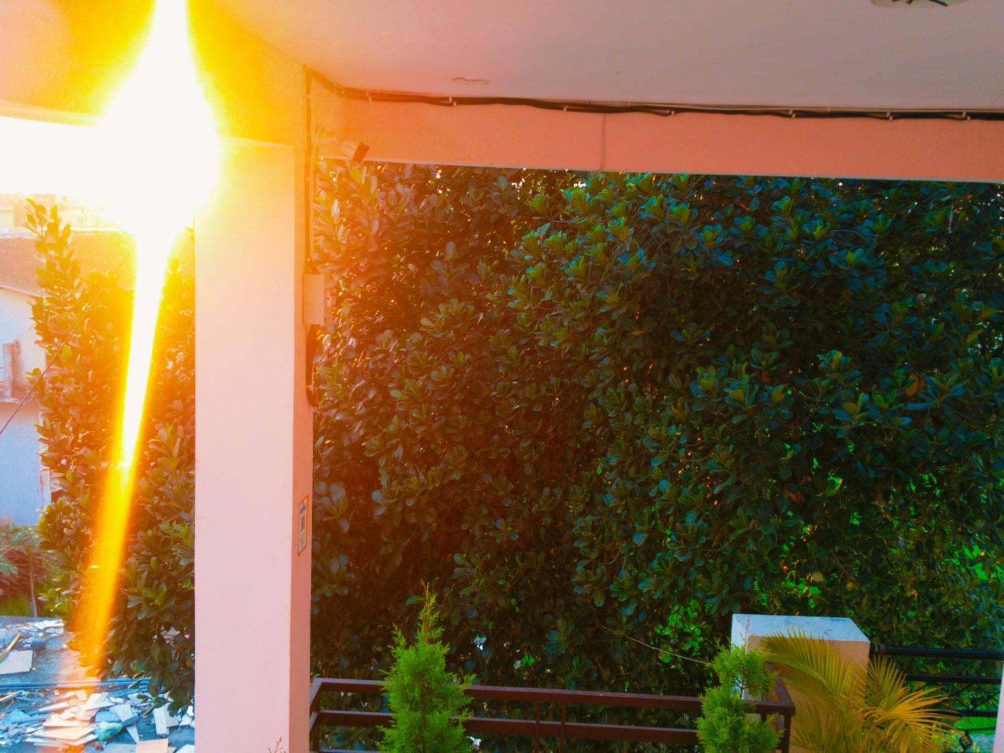 Airport Luxury Nature Homestay- Near Jolly Grant Airport Dehradun Doiwāla Zewnętrze zdjęcie