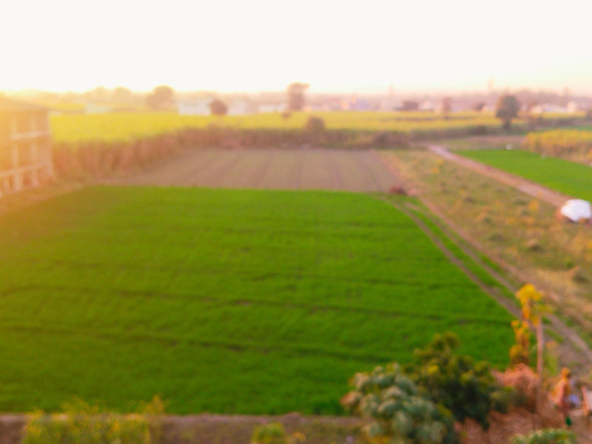 Airport Luxury Nature Homestay- Near Jolly Grant Airport Dehradun Doiwāla Zewnętrze zdjęcie