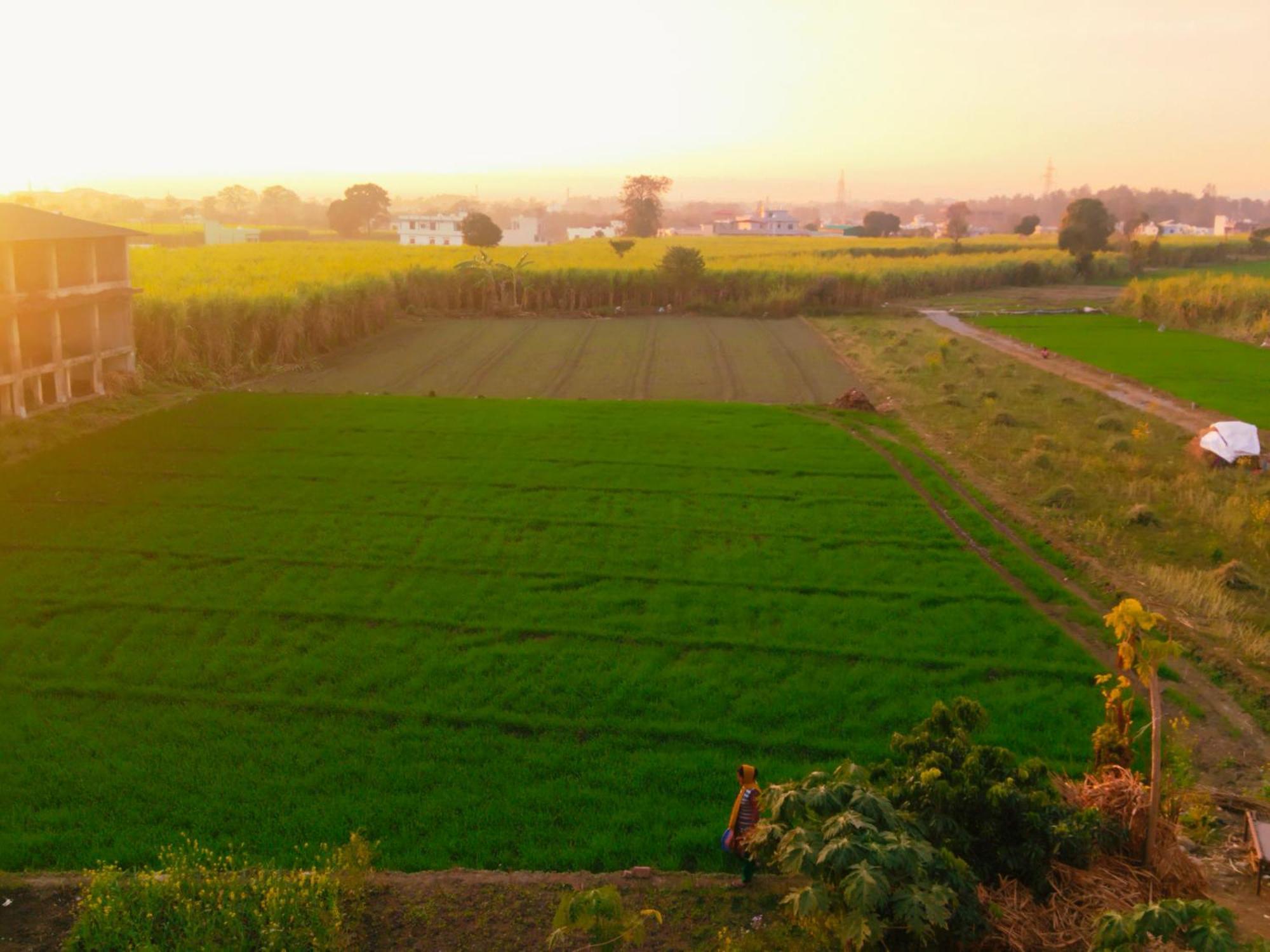 Airport Luxury Nature Homestay- Near Jolly Grant Airport Dehradun Doiwāla Zewnętrze zdjęcie